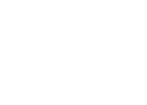 tex-nissi-car
